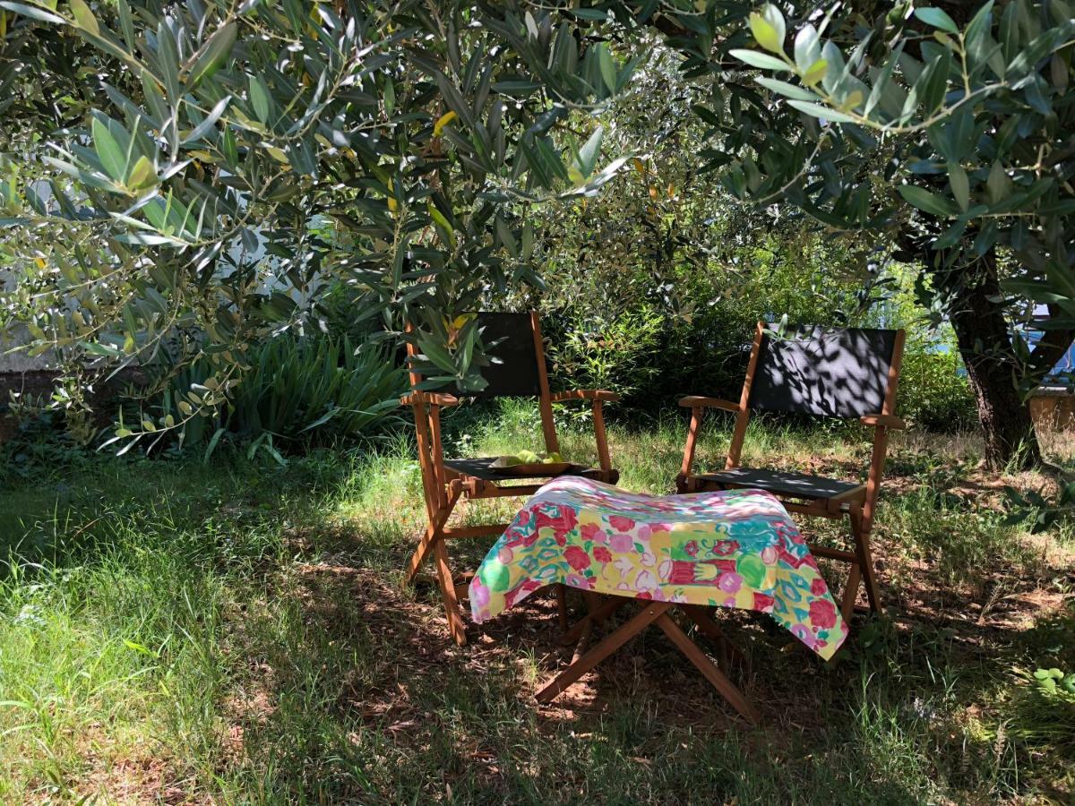 شقة Magnolia بولا المظهر الخارجي الصورة